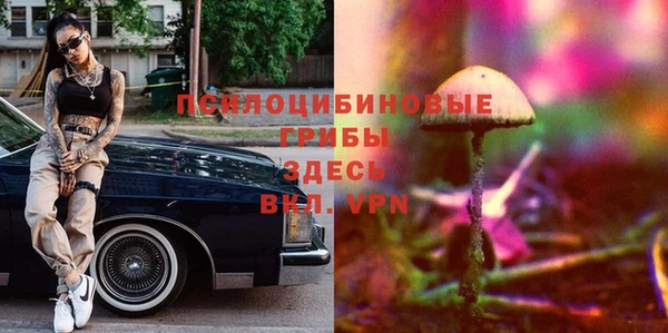 гидропоника Михайловка