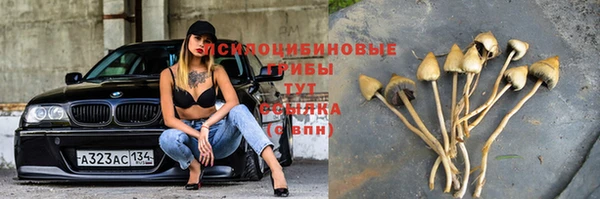 a pvp Михайловск