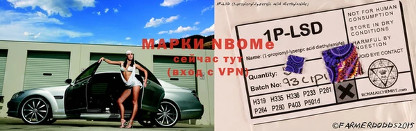a pvp Михайловск