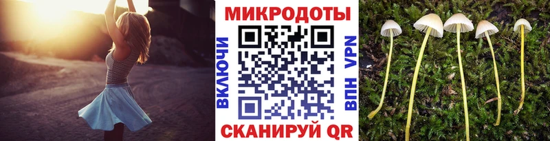 блэк спрут ТОР  Цимлянск  Галлюциногенные грибы MAGIC MUSHROOMS 